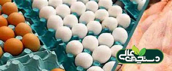توقف صادرات مرغ و تخم مرغ ایران به عراق با ممنوعیت فصلی