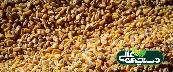 قیمت نهاده های خوراک دام و طیور کمتر از نرخ مصوب عرضه می‌شود